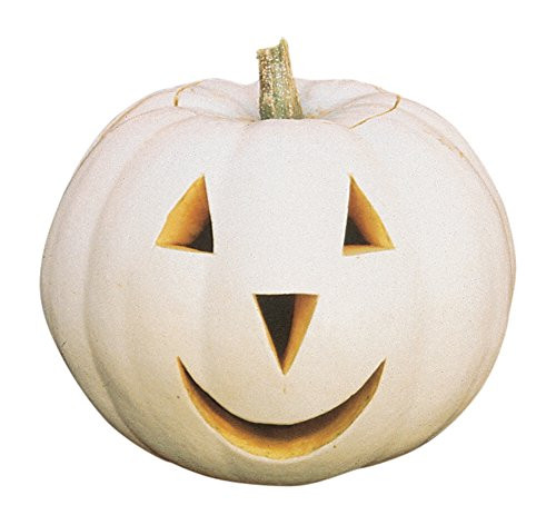 Burpee Lumina Pumpkin Seeds 10 seeds