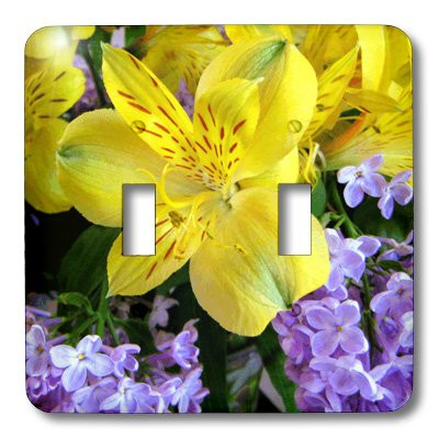 3dRose LLC lsp_11195_2 Double Toggle Switch, Yellow