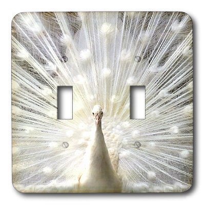 3dRose lsp_4060_2 White Peacock Double Toggle Switch