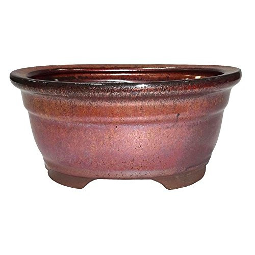 Brussel's 6 inch Oval Bonsai Glazed Ceramic Pot (Small, Rust)