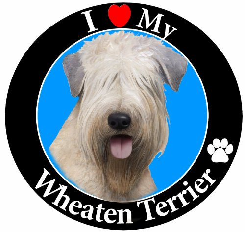 E&S Pets Car Magnet, Soft Coated Wheaten Terrier