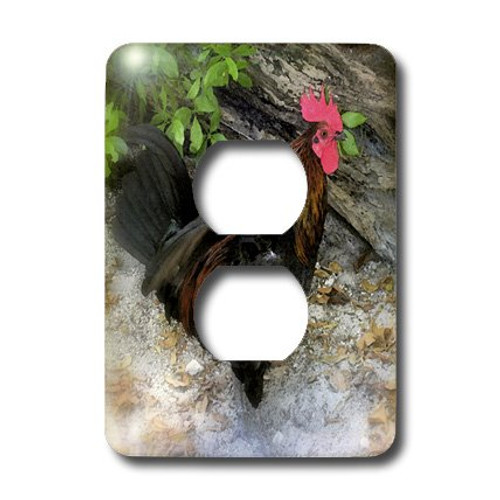 3dRose lsp_7769_6"King Rooster" 2 Plug Outlet Cover Multicolor 3dRose lsp_7769_6"King Rooster" 2 Plug Outlet Cover Multicolor