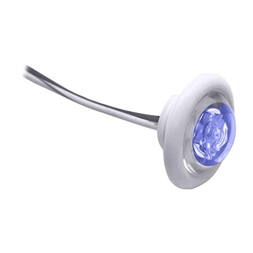 Innovative Lighting LED Bulkhead/Livewell Light The Shortie Blue LED w/ White Grommet