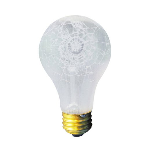 Bulbrite Incandescent A19 Medium Screw Base (E26) Light Bulb, 100 Watt, Frost Tough Coat