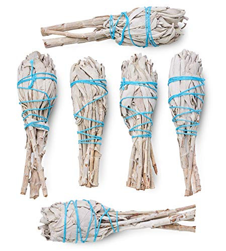 White Sage Torch 6 Pack (4-Inch Mini Torch) - Smudge Kit Replenishment/Refill Smudging Kit Refill   Sustainably Grown Sage Bundles   Sage Smudge Sticks