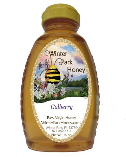 Winter Park Honey - 100percent Pure raw unfiltered Florida Holly (gallberry) Honey (16oz)