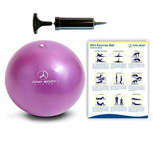 Mini Exercise Ball with Pump - 9 Inch Small Bender Ball for Stability, Barre, Pilates, Yoga, Core Training and Physical Therapy (Purple) Mini Exercise Ball with Pump - 9 Inch Small Bender Ball for Stability, Barre, Pilates, Yoga, Core Training and Physical Therapy (Purple)