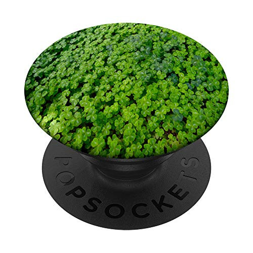 Pick a Clover PopSockets Grip and Stand for Phones and Tablets