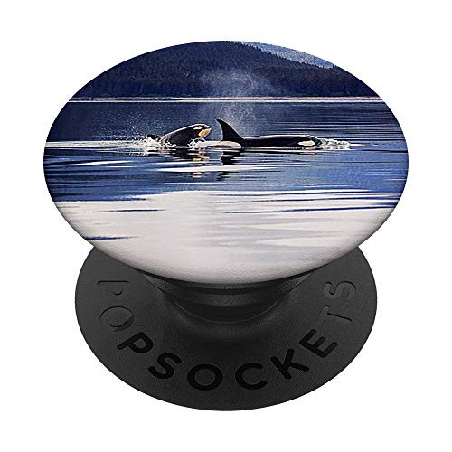 Killer Whale Orca Pop Socket PopSockets PopGrip: Swappable Grip for Phones  and  Tablets
