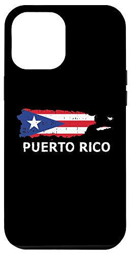 iPhone 12 Pro Max Puerto Rico Flag Vintage Puerto Rican Gift Case