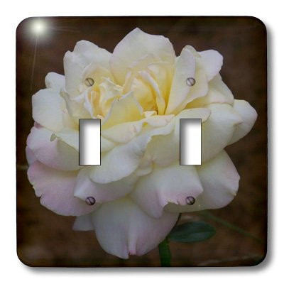 3dRose lsp_24910_2 Yellow And Pink Rose Brown Background Toggle Switch