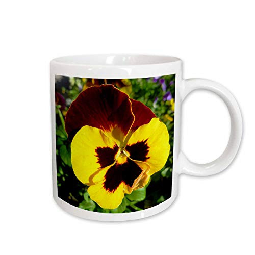3dRose Yellow Burnt Red Pansy Ceramic Mug, 11-Ounce