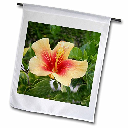 3dRose fl_1251_1 Red and Yellow Hibiscus, Garden Flag, 12 by 18-Inch 3dRose fl_1251_1 Red and Yellow Hibiscus, Garden Flag, 12 by 18-Inch