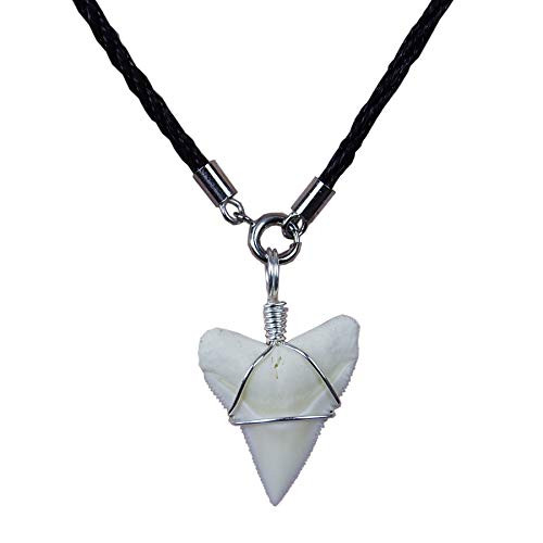 GemShark Shark Tooth Necklace for Boys Girls Silver Charm Pendant Sharks Costume Accessories Cool Necklaces Also for Dangle Bracelet Beads (0.8 ich Tooth) GemShark Shark Tooth Necklace for Boys Girls Silver Charm Pendant Sharks Costume Accessories Cool Necklaces Also for Dangle Bracelet Beads (0.8 ich Tooth)