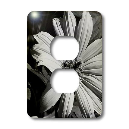 3dRose LLC lsp_14474_6 Bee Black N White Flower, 2 Plug Outlet Cover
