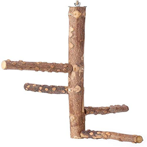 Wooden Bird Perch Parakeet Toys Parrot Stand,Cockatiel Conure Chewing Stick Wood Stand Parrot Toy for 3-4pcs Small Parrots
