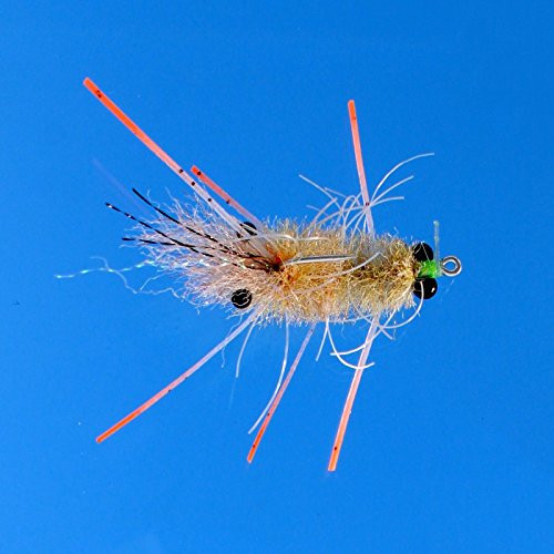 Enrico Puglisi EP Mantis Shrimp BC TAN 6, 2 PK