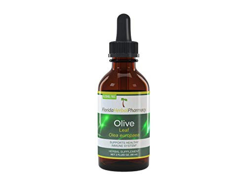Florida Herbal Pharmacy, Alcohol - FREE Olive (Olea europaea) Tincture/Extract 2 oz.