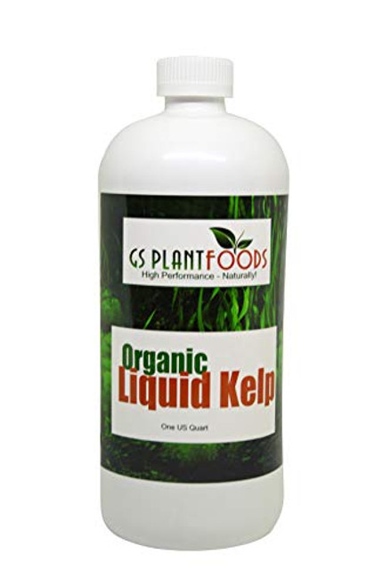 GS Plant Foods Organic Liquid Kelp Plant Fertilizer (1 Quart)   Omri Organic Listed Seaweed  and  Kelp Fertilizer Solution   Kelp Seaweed Plant  and  Vegetable Growth Concentrate for Gardens, Lawns  and  Soil GS Plant Foods Organic Liquid Kelp Plant Fertilizer (1 Quart)   Omri Organic Listed Seaweed  and  Kelp Fertilizer Solution   Kelp Seaweed Plant  and  Vegetable Growth Concentrate for Gardens, Lawns  and  Soil