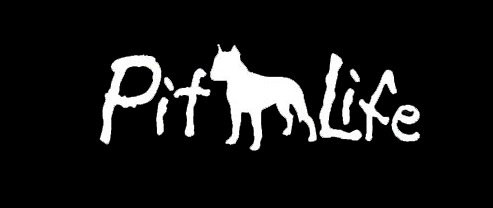 CCI Pit Life Pitbull Dog Decal Vinyl Sticker|Cars Trucks Vans Walls Laptop| WHITE |7.5 x 2.5 in|CCI479