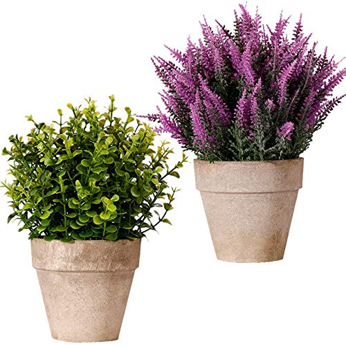 FagusHome Artificial Plants Potted 2 Pcs Potted Artificial Eucalyptus Plants Plastic 10 inch Tall Fake Greenery Faux Plants in Pots for Indoor Décor (A) FagusHome Artificial Plants Potted 2 Pcs Potted Artificial Eucalyptus Plants Plastic 10 inch Tall Fake Greenery Faux Plants in Pots for Indoor Décor (A)