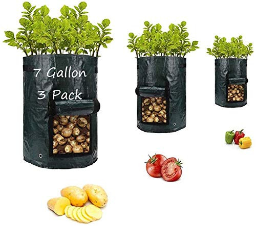 Potato-Grow-Bags,Garden Vegetable Planter with Handles and Access Flap for Vegetables,Tomato,Carrot, Onion,Fruits,Potatoes-Growing-Containers,Ventilated Plants Planting Bag (3 Pack-7 Gallon) Potato-Grow-Bags,Garden Vegetable Planter with Handles and Access Flap for Vegetables,Tomato,Carrot, Onion,Fruits,Potatoes-Growing-Containers,Ventilated Plants Planting Bag (3 Pack-7 Gallon)