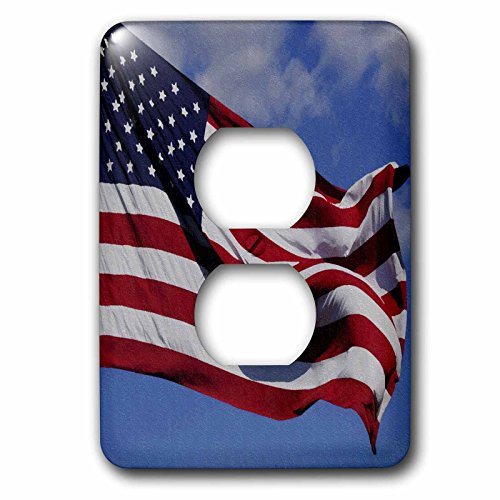 3dRose LLC lsp_50760_6 Patriotic American Flag Oil Painting, 2 Plug Outlet Cover 3dRose LLC lsp_50760_6 Patriotic American Flag Oil Painting, 2 Plug Outlet Cover