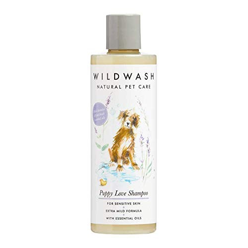 WildWash PET Puppy Love Shampoo with Lavender and Patchouli - Made in UK Natural Pet Care by Andrew Cooper- 8.5 Fl. Oz.