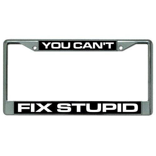 Lplpol Aluminum License Plate Frame You Can't Fix Stupid Photo License Plate Frame - LPO1925 Car Licenses Plate Covers Holders for US Vehicles