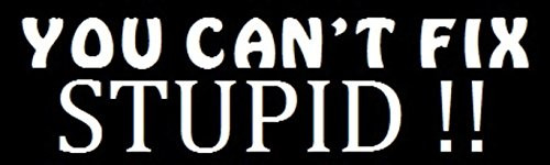 MFX Design You Can't Fix Stupid  Helmet Sticker Decal Hard Hat Sticker Decal Vinyl - Made in USA 3.5 in. x 1 in.
