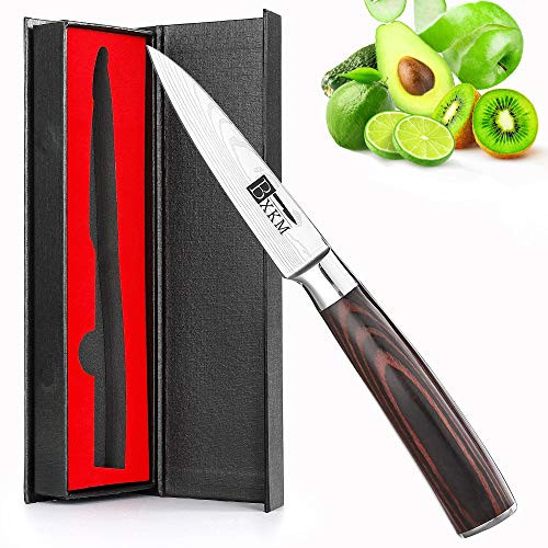 Paring Knife- BXKM 3.5 inch Small Kitchen Knife,German High Carbon Stainless Steel Fruit Knife With Ergonomic Handle,Cutting Carving Knives For Fruit and Vegetable