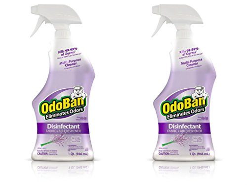OdoBan Multipurpose Cleaner Concentrate, 32 FL. oz. Spray 2-Pack, Lavender Scent - Odor Eliminator, Disinfectant, Flood Fire Water Damage Restoration OdoBan Multipurpose Cleaner Concentrate, 32 FL. oz. Spray 2-Pack, Lavender Scent - Odor Eliminator, Disinfectant, Flood Fire Water Damage Restoration