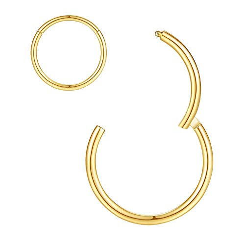 2pcs 7mm Nose Hoop Nose Rings 18 Gauge Yellow Gold Nose Ring Hoop 18g Cartilage Earring Helix Earring Tragus Earrings Daith Earrings Rook Earrings Nose Piercing Jewelry Septum Clicker Septum Ring