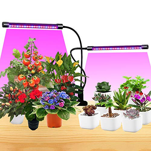 Grow Light Dual Head Full Spectrum Plant Growing Lamps 9 Dimmable Level led Grow Light for Indoor Plants with Adjustable Gooseneck, Red Blue Spectrum 3/9/12H Timer Plant Grow Lights Bulb Plant Lamp Grow Light Dual Head Full Spectrum Plant Growing Lamps 9 Dimmable Level led Grow Light for Indoor Plants with Adjustable Gooseneck, Red Blue Spectrum 3/9/12H Timer Plant Grow Lights Bulb Plant Lamp