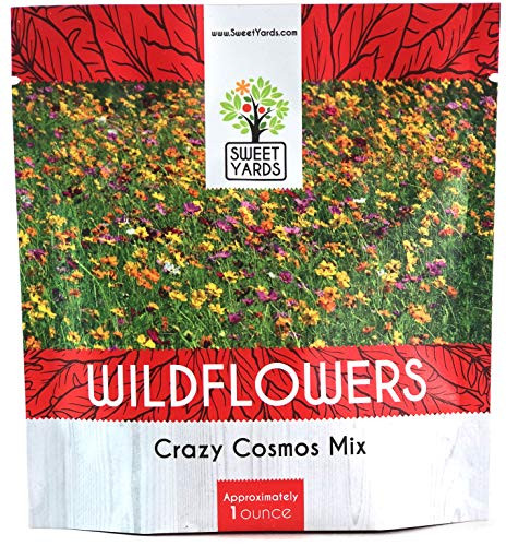 Crazy Cosmos Wildflower Seeds Mixture (All Colors) - Bulk 1 Ounce Packet - Over 5,000 Seeds - Pink, Yellow, Orange, Red, Purple and White Mixed Species!