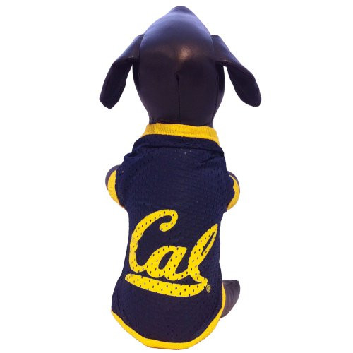 NCAA California Golden Bears Athletic Mesh Dog Jersey (Team Color, Large)