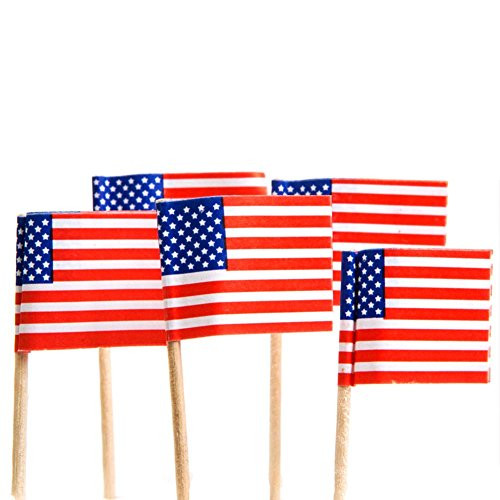 U.S. Toy American Flag Picks