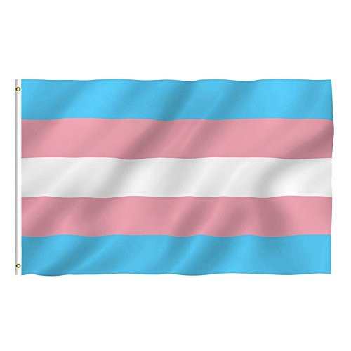 FayLagee-yx 3x5 Gay Lesbian Transgender Human Rights Flag 3x5 House Banner Brass Grommets