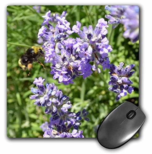 3dRose LLC 8 X 8 X 0.25 Inches Lavender Flowers and Bee Mouse Pad (mp_24870_1)