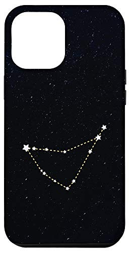 iPhone 12 Pro Max Pisces Constellation Night Stars Zodiac Sign Design Case
