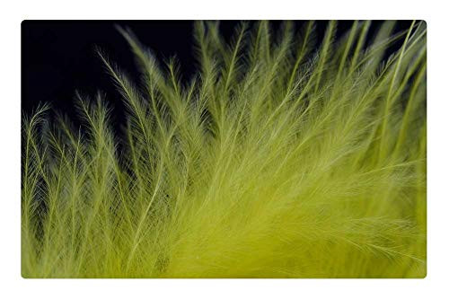 LESGAULEST Doormat Floor Rug/Mat (23.6 x 15.7 inch) - Feather Fluff Bird Feather Down Slightly Yellow LESGAULEST Doormat Floor Rug/Mat (23.6 x 15.7 inch) - Feather Fluff Bird Feather Down Slightly Yellow