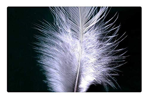 LESGAULEST Doormat Floor Rug/Mat (23.6 x 15.7 inch) - Feather Plumage Wing Fly White Down Fibrous