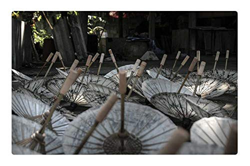 LESGAULEST Doormat Floor Rug/Mat (23.6 x 15.7 inch) - Parasols Umbrellas Traditional Upside Down Summer LESGAULEST Doormat Floor Rug/Mat (23.6 x 15.7 inch) - Parasols Umbrellas Traditional Upside Down Summer