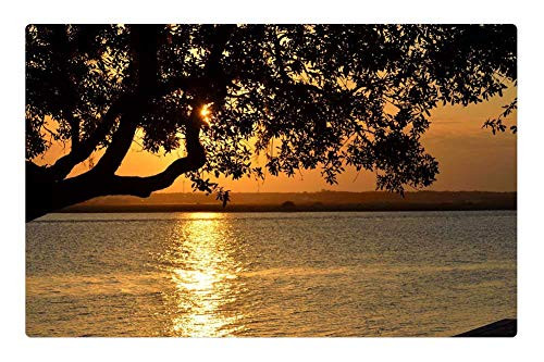 LESGAULEST Doormat Floor Rug/Mat (23.6 x 15.7 inch) - Sunset Sky Sun Down Night Beauty Orange Color