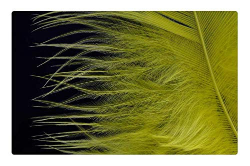 LESGAULEST Doormat Floor Rug/Mat (23.6 x 15.7 inch) - Feather Fluff Bird Feather Down Slightly Yellow 1 LESGAULEST Doormat Floor Rug/Mat (23.6 x 15.7 inch) - Feather Fluff Bird Feather Down Slightly Yellow 1