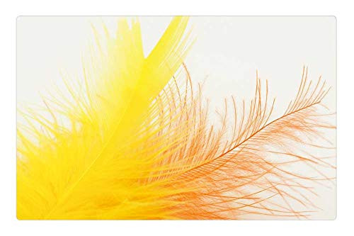 LESGAULEST Doormat Floor Rug/Mat (23.6 x 15.7 inch) - Feather Bird Feather Down Slightly Soft Yellow LESGAULEST Doormat Floor Rug/Mat (23.6 x 15.7 inch) - Feather Bird Feather Down Slightly Soft Yellow