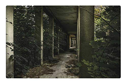 LESGAULEST Doormat Floor Rug/Mat (23.6 x 15.7 inch) - Lost Place Horror Abandoned Building Leave Run Down 1