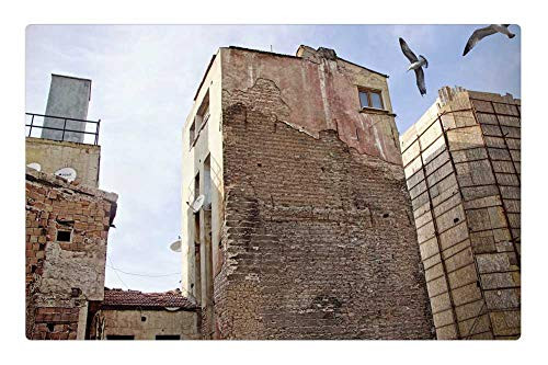 LESGAULEST Doormat Floor Rug/Mat (23.6 x 15.7 inch) - Istanbul Turkey Old House Decay Gulls Run Down