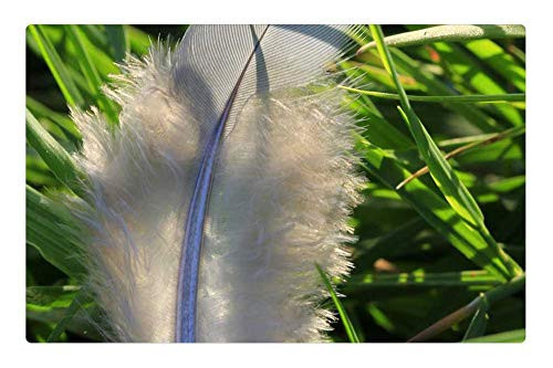 LESGAULEST Doormat Floor Rug/Mat (23.6 x 15.7 inch) - Feather White Bird Airy Slightly Down LESGAULEST Doormat Floor Rug/Mat (23.6 x 15.7 inch) - Feather White Bird Airy Slightly Down