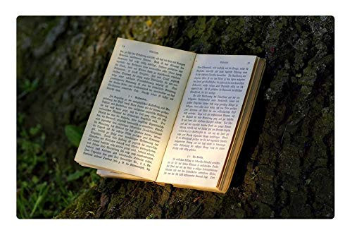 LESGAULEST Doormat Floor Rug/Mat (23.6 x 15.7 inch) - Book Read Park Old Writing Gothic Tree The Sun 1